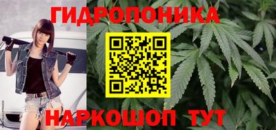 apvp Братск