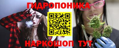 СК Владивосток