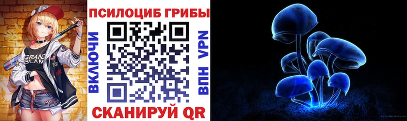 Галлюциногенные грибы MAGIC MUSHROOMS  omg как зайти  Вичуга 