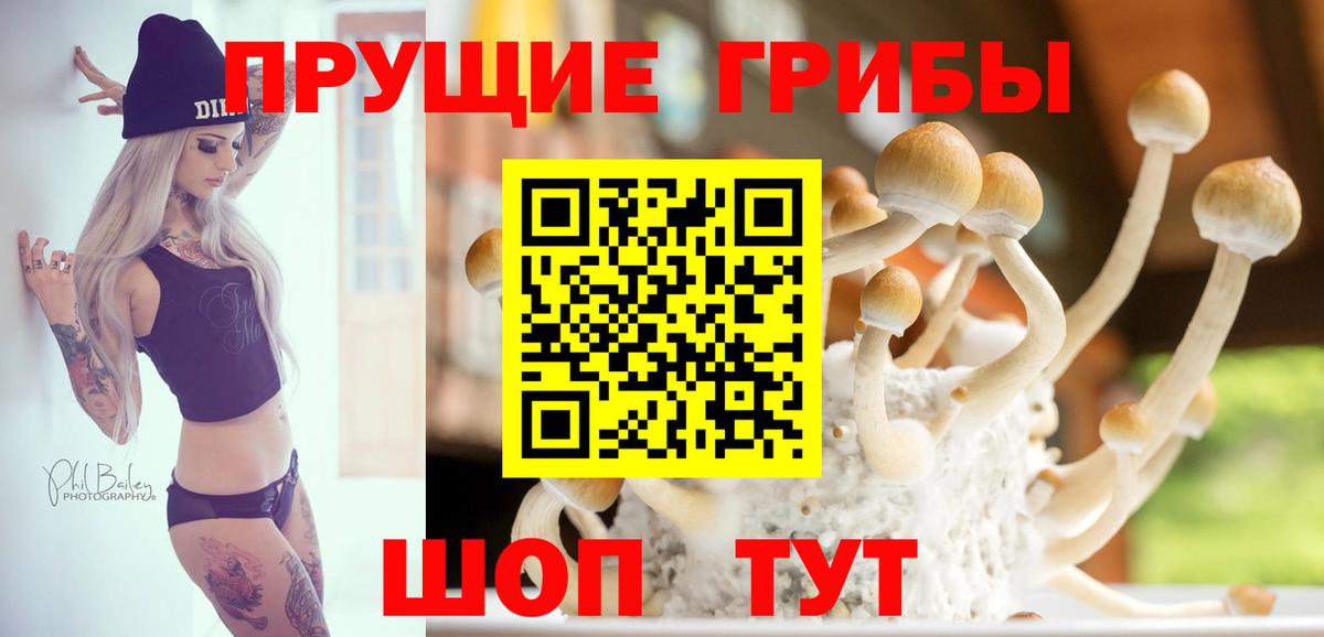 Псилоцибиновые грибы прущие грибы Вичуга